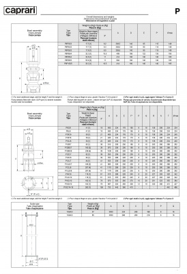 Вертикальные полупогружные насосы Caprari P9C Вертикальные полупогружные насосы Caprari P9C
