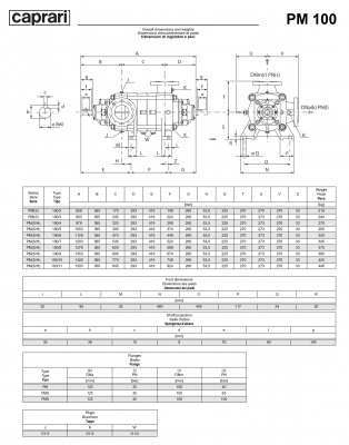 Горизонтальные многоступенчатые насосы высокого давления Caprari PM 100 1450 Горизонтальные многоступенчатые насосы высокого давления Caprari PM 100 1450