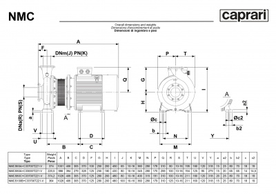 Поверхностные одноступенчатые консольно-моноблочные насосы Caprari NMC 100 2P Поверхностные одноступенчатые консольно-моноблочные насосы Caprari NMC 100 2P