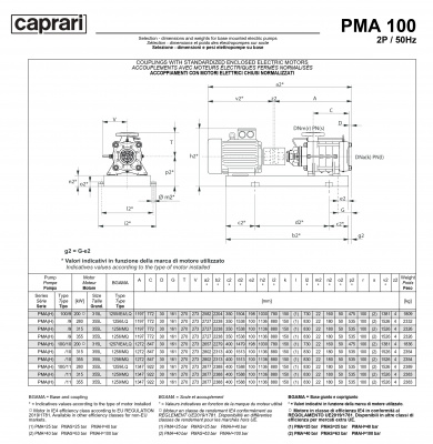 Горизонтальные многоступенчатые насосы высокого давления Caprari PMA 100 2900 Горизонтальные многоступенчатые насосы высокого давления Caprari PMA 100 2900