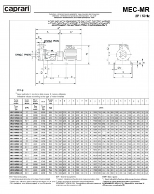 Горизонтальные многоступенчатые насосы Caprari MEC-MR 2400 Горизонтальные многоступенчатые насосы Caprari MEC-MR 2400