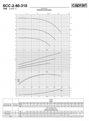 Горизонтальные насосы двустороннего входа Caprari SCC-2-80-315 1450 Горизонтальные насосы двустороннего входа Caprari SCC-2-80-315 1450