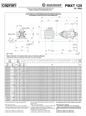 Горизонтальные секционные насосы высокого давления Caprari PMXT 125 2000 из нержавеющей стали Горизонтальные секционные насосы высокого давления Caprari PMXT 125 2000 из нержавеющей стали