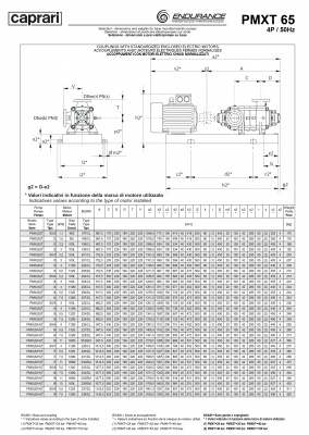 Горизонтальные секционные насосы высокого давления Caprari PMXT 65 2000 из нержавеющей стали Горизонтальные секционные насосы высокого давления Caprari PMXT 65 2000 из нержавеющей стали