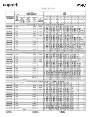 Вертикальные полупогружные насосы Caprari P14C Вертикальные полупогружные насосы Caprari P14C