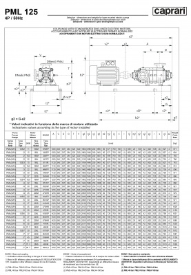 Горизонтальные многоступенчатые насосы высокого давления Caprari PML 125 1450 Горизонтальные многоступенчатые насосы высокого давления Caprari PML 125 1450