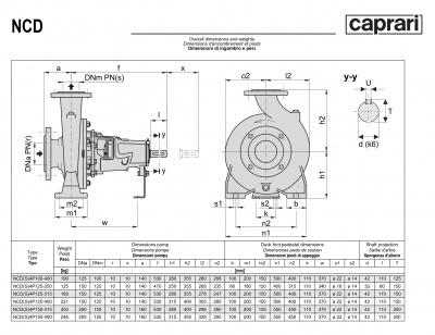 Одноступенчатые горизонтальные центробежные насосы Caprari NCDS 4P125-315 1750 Одноступенчатые горизонтальные центробежные насосы Caprari NCDS 4P125-315 1750