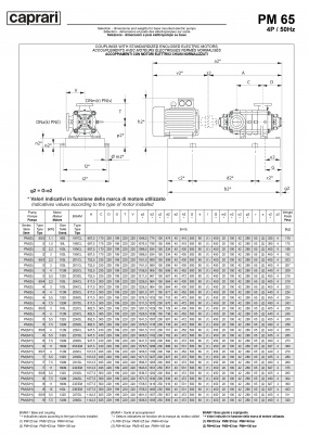 Горизонтальные многоступенчатые насосы высокого давления Caprari PM 65 2000 Горизонтальные многоступенчатые насосы высокого давления Caprari PM 65 2000
