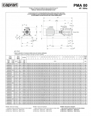 Горизонтальные многоступенчатые насосы высокого давления Caprari PMA 80 3500 Горизонтальные многоступенчатые насосы высокого давления Caprari PMA 80 3500