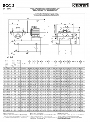 Горизонтальные насосы двустороннего входа Caprari SCC-2-80-250 2900 Горизонтальные насосы двустороннего входа Caprari SCC-2-80-250 2900