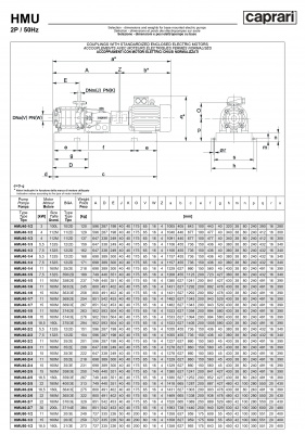 Горизонтальные секционные насосы высокого давления Caprari NMU 1750 Горизонтальные секционные насосы высокого давления Caprari NMU 1750