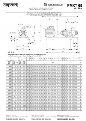 Горизонтальные секционные насосы высокого давления Caprari PMXT 65 2200 из нержавеющей стали Горизонтальные секционные насосы высокого давления Caprari PMXT 65 2200 из нержавеющей стали