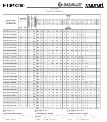 Скважинные насосы Caprari E10PX250 из нержавеющей стали Скважинные насосы Caprari E10PX250 из нержавеющей стали