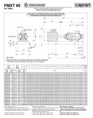 Горизонтальные секционные насосы высокого давления Caprari PMXT 65 1750 из нержавеющей стали Горизонтальные секционные насосы высокого давления Caprari PMXT 65 1750 из нержавеющей стали