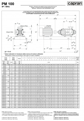Горизонтальные многоступенчатые насосы высокого давления Caprari PM 100H 3500 Горизонтальные многоступенчатые насосы высокого давления Caprari PM 100H 3500