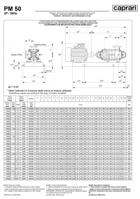 Горизонтальные многоступенчатые насосы высокого давления Caprari PM 50 2000 Горизонтальные многоступенчатые насосы высокого давления Caprari PM 50 2000