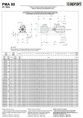 Горизонтальные многоступенчатые насосы высокого давления Caprari PMA 80 3500 Горизонтальные многоступенчатые насосы высокого давления Caprari PMA 80 3500