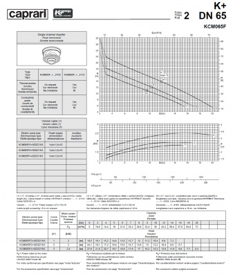 Погружные канализационные элктронасосы Caprari KCM065F Погружные канализационные элктронасосы Caprari KCM065F