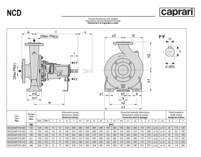 Одноступенчатые горизонтальные центробежные насосы Caprari NCDS 4P100-400 1750 Одноступенчатые горизонтальные центробежные насосы Caprari NCDS 4P100-400 1750