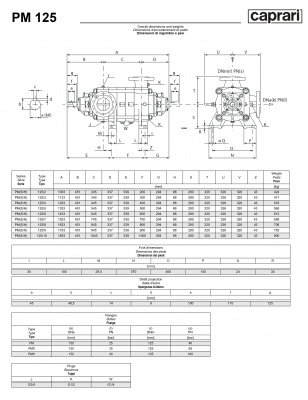 Горизонтальные многоступенчатые насосы высокого давления Caprari PM 125 2900 Горизонтальные многоступенчатые насосы высокого давления Caprari PM 125 2900
