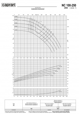 Одноступенчатые горизонтальные центробежные насосы Caprari NC 100-250 2900 Одноступенчатые горизонтальные центробежные насосы Caprari NC 100-250 2900