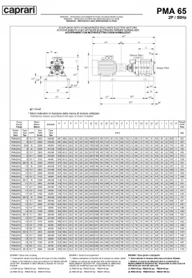 Горизонтальные многоступенчатые насосы высокого давления Caprari PMA 65 1750 Горизонтальные многоступенчатые насосы высокого давления Caprari PMA 65 1750