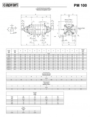 Горизонтальные многоступенчатые насосы высокого давления Caprari PM 100 2900 Горизонтальные многоступенчатые насосы высокого давления Caprari PM 100 2900