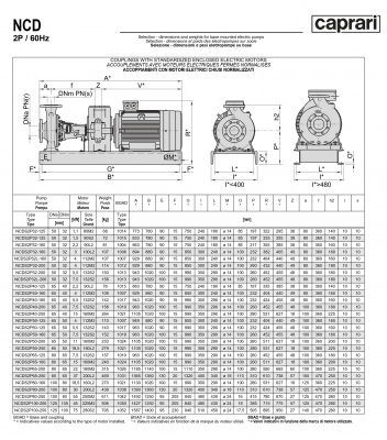 Одноступенчатые горизонтальные центробежные насосы Caprari NCDS 2P100-200 3450 Одноступенчатые горизонтальные центробежные насосы Caprari NCDS 2P100-200 3450
