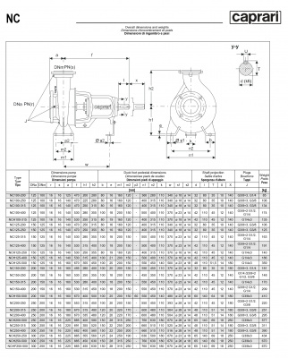 Одноступенчатые горизонтальные центробежные насосы Caprari NC 125-250 1450 Одноступенчатые горизонтальные центробежные насосы Caprari NC 125-250 1450