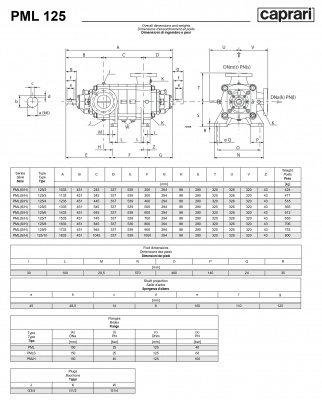 Горизонтальные многоступенчатые насосы высокого давления Caprari PML 125 1750 Горизонтальные многоступенчатые насосы высокого давления Caprari PML 125 1750