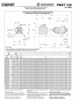 Горизонтальные секционные насосы высокого давления Caprari PMXT 125 2200 из нержавеющей стали Горизонтальные секционные насосы высокого давления Caprari PMXT 125 2200 из нержавеющей стали