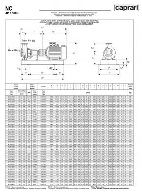 Одноступенчатые горизонтальные центробежные насосы Caprari NC 80-400 1450 Одноступенчатые горизонтальные центробежные насосы Caprari NC 80-400 1450