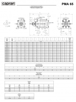 Горизонтальные многоступенчатые насосы высокого давления Caprari PMA 65 2900 Горизонтальные многоступенчатые насосы высокого давления Caprari PMA 65 2900