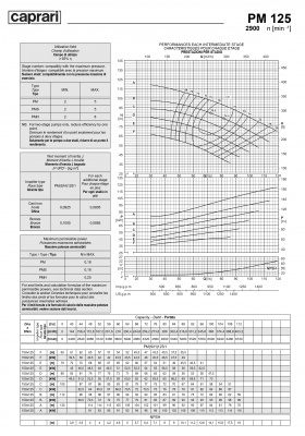 Горизонтальные многоступенчатые насосы высокого давления Caprari PM 125 2900 Горизонтальные многоступенчатые насосы высокого давления Caprari PM 125 2900