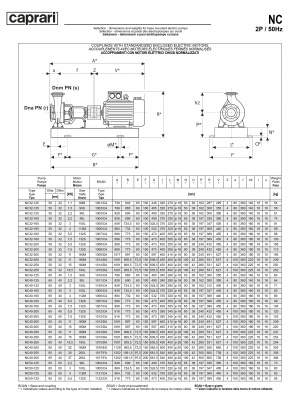 Одноступенчатые горизонтальные центробежные насосы Caprari NC 40-200 1450 Одноступенчатые горизонтальные центробежные насосы Caprari NC 40-200 1450