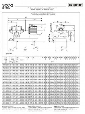 Горизонтальные насосы двустороннего входа Caprari SCC-2-125-315 1450 Горизонтальные насосы двустороннего входа Caprari SCC-2-125-315 1450