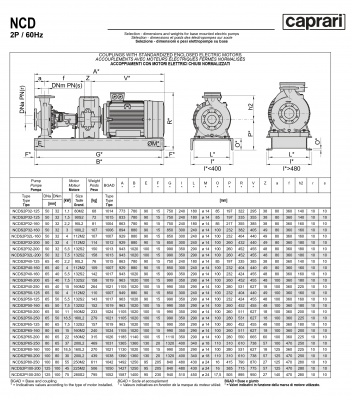 Одноступенчатые горизонтальные центробежные насосы Caprari NCDS 2P65-250 3450 Одноступенчатые горизонтальные центробежные насосы Caprari NCDS 2P65-250 3450