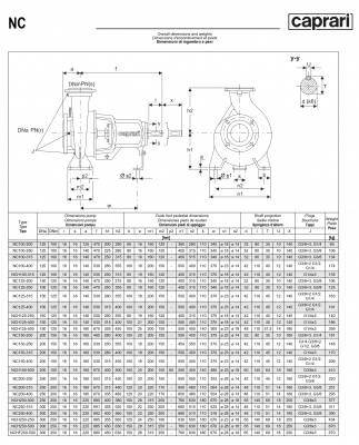 Одноступенчатые горизонтальные центробежные насосы Caprari NC 100-250 1450 Одноступенчатые горизонтальные центробежные насосы Caprari NC 100-250 1450