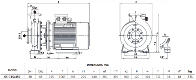 Центробежный насос Purity PSTG-R5 65-315/450