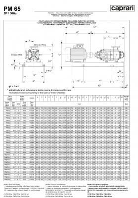 Горизонтальные многоступенчатые насосы высокого давления Caprari PM 65 2900 Горизонтальные многоступенчатые насосы высокого давления Caprari PM 65 2900