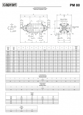 Горизонтальные многоступенчатые насосы высокого давления Caprari PM 80 3500 Горизонтальные многоступенчатые насосы высокого давления Caprari PM 80 3500
