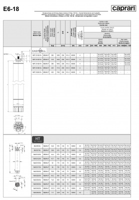 Двигатели для скважинных насосов Caprari MPC10100/1A Двигатели для скважинных насосов Caprari MPC10100/1A