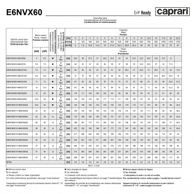 Скважинные насосы Caprari E6NVX60 из нержавеющей стали Скважинные насосы Caprari E6NVX60 из нержавеющей стали