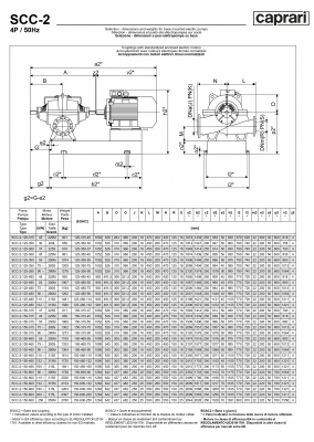 Горизонтальные насосы двустороннего входа Caprari SCC-2-150-600 1450 Горизонтальные насосы двустороннего входа Caprari SCC-2-150-600 1450