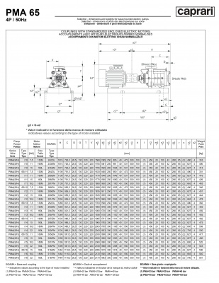 Горизонтальные многоступенчатые насосы высокого давления Caprari PMA 65 3500 Горизонтальные многоступенчатые насосы высокого давления Caprari PMA 65 3500