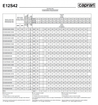 Погружные электродвигатели Caprari MAC E12S42 Погружные электродвигатели Caprari MAC E12S42