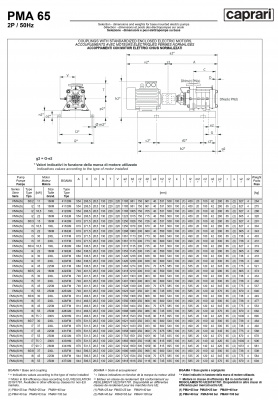 Горизонтальные многоступенчатые насосы высокого давления Caprari PMA 65 1750 Горизонтальные многоступенчатые насосы высокого давления Caprari PMA 65 1750