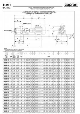 Горизонтальные секционные насосы высокого давления Caprari NMU 2900 Горизонтальные секционные насосы высокого давления Caprari NMU 2900