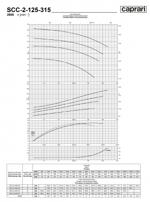 Горизонтальные насосы двустороннего входа Caprari SCC-2-125-315 2900 Горизонтальные насосы двустороннего входа Caprari SCC-2-125-315 2900