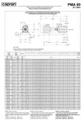 Горизонтальные многоступенчатые насосы высокого давления Caprari PMA 80 1450 Горизонтальные многоступенчатые насосы высокого давления Caprari PMA 80 1450